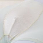 Girls Underwear Manufacturer - 4 Pairs 7A Antibacterial