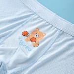 Modal Underwear Manufacturer - Girls 7A Flat Pants