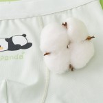 Girls Underwear Manufacturer - 4 Pairs 7A Antibacterial