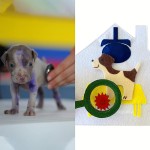 Quiet Book Supplier - Montessori Travel Toy