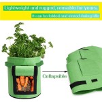 Planter Pot Factory - 7 Gallon Felt Grow