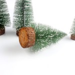 Christmas Tree Supplier - DIY White Cedar