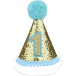 Birthday Hat Factory - Glitter Sparkle Cone