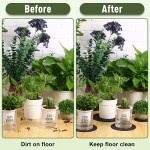 Plant Coaster Supplier - Reversible Felt Mat