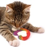 Felt Craft Supplier - DIY Handmade Cloud