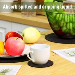 Plant Coaster Supplier - Reversible Felt Mat