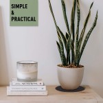 Plant Coaster Supplier - Reversible Felt Mat