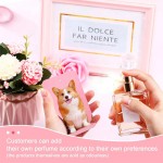 Air Freshener Manufacturer - Sublimation Car Blanks