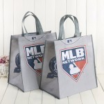 Lunch Bag Manufacturer - Thermal Insulation Non