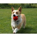 Pet Toy Factory - Wool Balls Teeth Clean