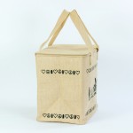 Lunch Bag Manufacturer - Thermal Insulation Non