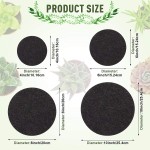 Plant Coaster Supplier - Reversible Felt Mat