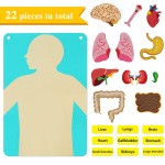 Educational Toy Factory - Body Science Felt