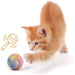 Felt Toy Supplier - Wool Ball Rattle