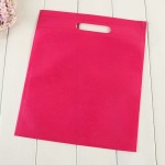 Non Woven Bag Factory - Eco Friendly D Cut