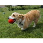 Pet Toy Factory - Wool Balls Teeth Clean