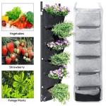 Plant Pot Manufacturer - Hanging Vertical Garden