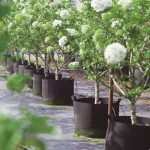 Grow Bag Factory - 300G Thickened Fabric