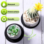 Plant Coaster Supplier - Reversible Felt Mat