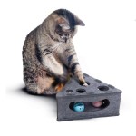 Cat Toy Manufacturer - Natural Durable Interactive
