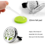 Car Diffuser Supplier - Aromatherapy Vent Clip