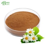 批发供应除虫菊花提取物除虫菊提取物粉末除虫菊提取物