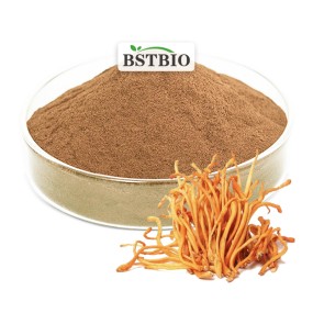 BSTBIO Organic Cordyceps Militaris Extract/Cordyceps Sinensis Extract/Cordyceps Extract Powder