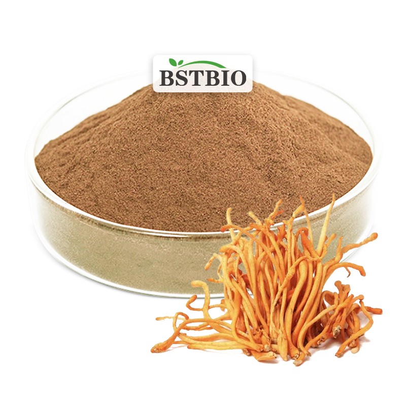 BSTBIO Organic Cordyceps Militaris Extract/Cordyceps Sinensis Extract/Cordyceps Extract Powder