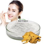 CAS 501-36-0反式白藜芦醇98% 99%反式白藜芦醇粉末