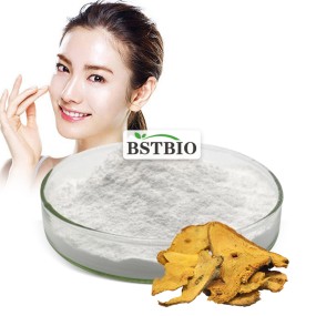 BSTBIO Supplement CAS 501-36-0 Trans-Resveratrol 98% 99% Trans Resveratrol Powder