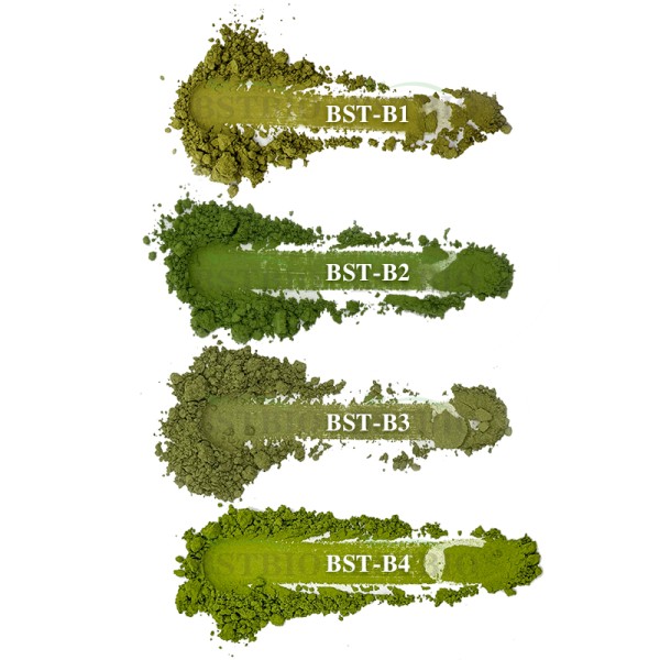 BSTBIO散装批发1公斤顶级品质风味烘焙级纯绿茶抹茶粉