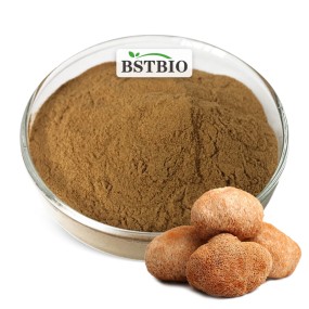 BSTBIO Hericium Erinaceus Powder/Lions Mane Mushroom Powder/Organic Lions Mane Powder