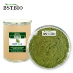 BSTBIO 100%纯天然有机冻干菠菜粉/菠菜汁粉/菠菜粉
