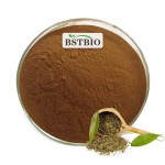 优质巴拉圭冬青粉末马黛茶提取物私人标签茶马黛茶批发马黛茶粉末