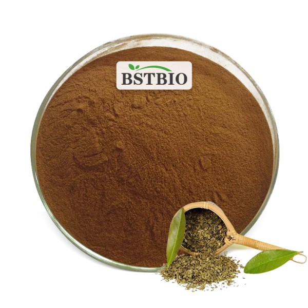 优质巴拉圭冬青粉末马黛茶提取物私人标签茶马黛茶批发马黛茶粉末