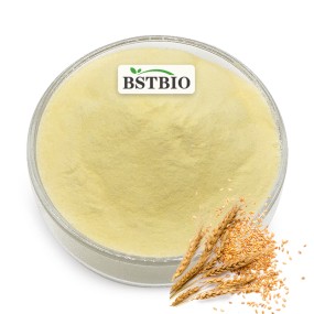 BSTBIO高品质补充CAS 124-20-9亚精胺1%小麦胚芽提取物粉