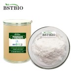 BSTBIO高品质镁补充剂CAS 778571-57-6 99% l -苏酸镁粉
