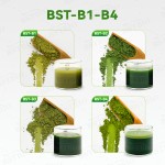 BSTBIO散装批发1公斤顶级品质风味烘焙级纯绿茶抹茶粉