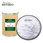 羟基磷灰石钙微晶98%纳米羟基磷灰石粉末