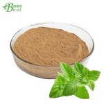 猫薄荷植物提取物粉末/猫薄荷提取物10:1