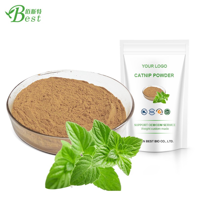 Best Price Catnip Plant Extract Powder / Nepeta Cataria Extract 10:1