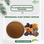 OEM 6合1灵芝狮子鬃毛长衣冬虫夏草舞茸蘑菇咖啡