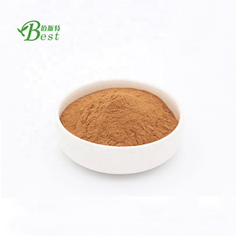 Bulk Hericium Erinaceus Extract/ Lions Mane Mushroom Extract Polysaccharide 20%