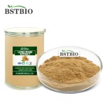 BSTBIO Polysaccharides Hericium Erinaceus Mycelium Powder Organic Lions Mane Mushroom Extract
