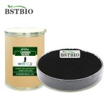 BSTBIO黑色颜料椰子壳竹炭食用E153蔬菜炭黑粉