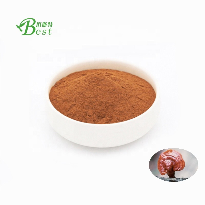 Nutritional Food Seasoning Powder Reishi Mushroom Powder/lucidum Ganoderma Powder/ganoderma Powder Lucidum
