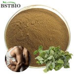 Supplier Epimedium Horny Goat Weed Powder Epimedium Extract 98% 20% 10% Icariin Powder China Food HPLC Arnica Wild Leaf 2 Years