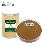BSTBIO纯天然马尾提取物粉7%有机二氧化硅