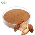高级汤粉调味香菇粉调味/香菇粉/牛肝菌粉海产品干30%