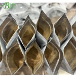批发中国OEM私人标签高品质有机狮子鬃毛蘑菇提取物，5合1混合蘑菇提取物混合粉末